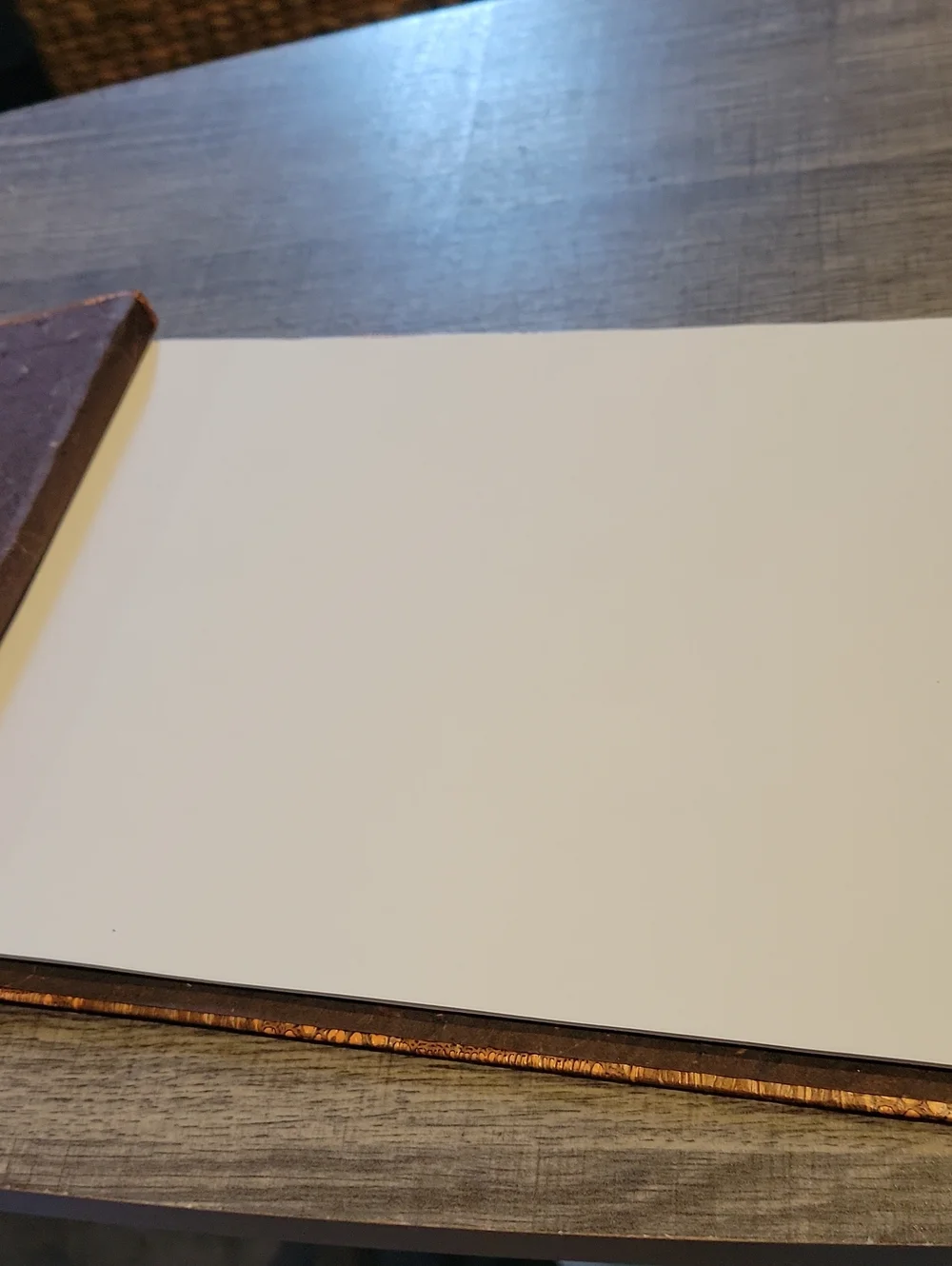 Handmade Pho Album/ Journal Crocodile Skin Cover